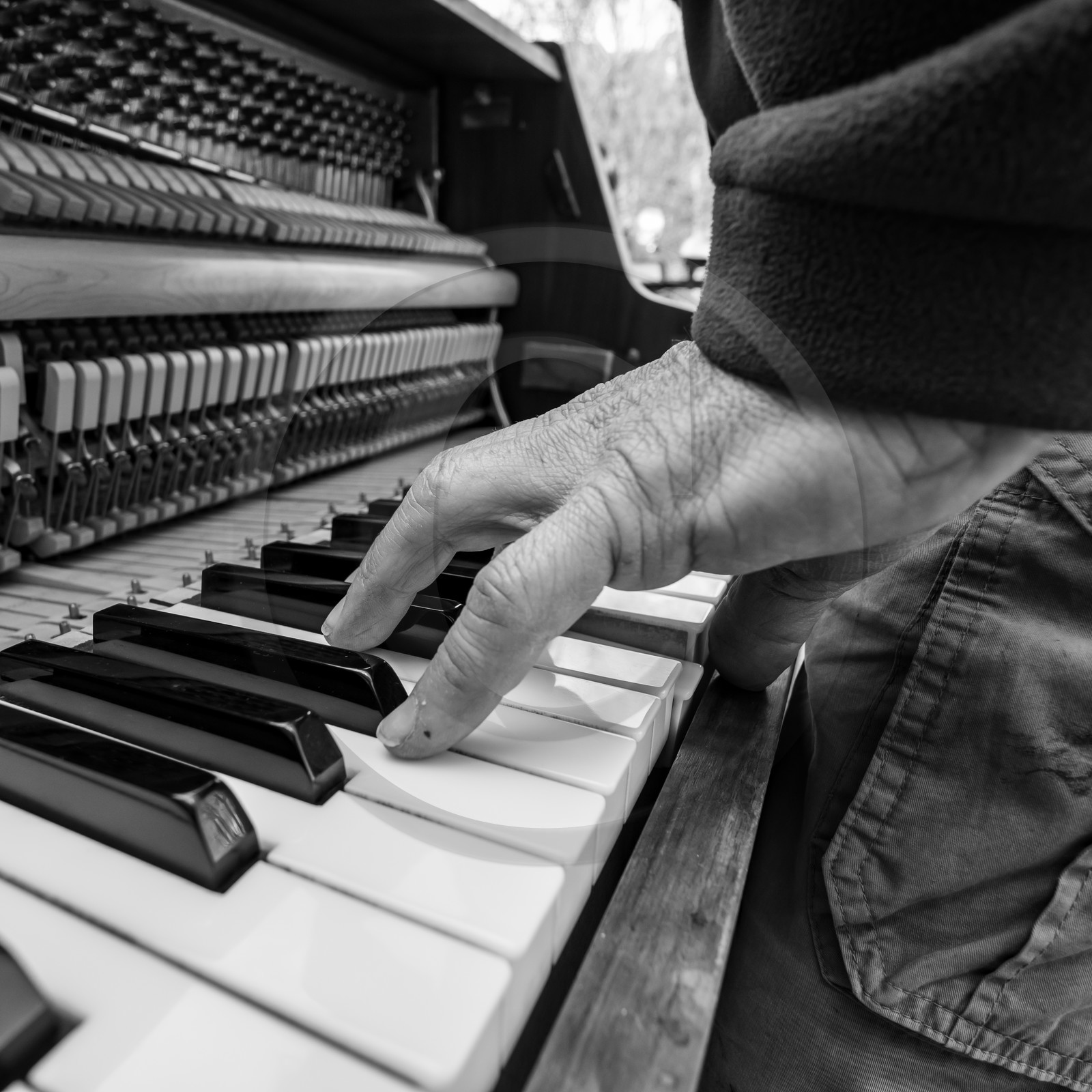 Animation musicale avec Philippe Séranne