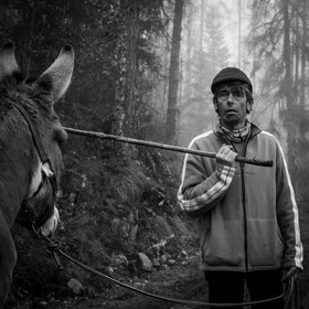 La transhumance des ânes