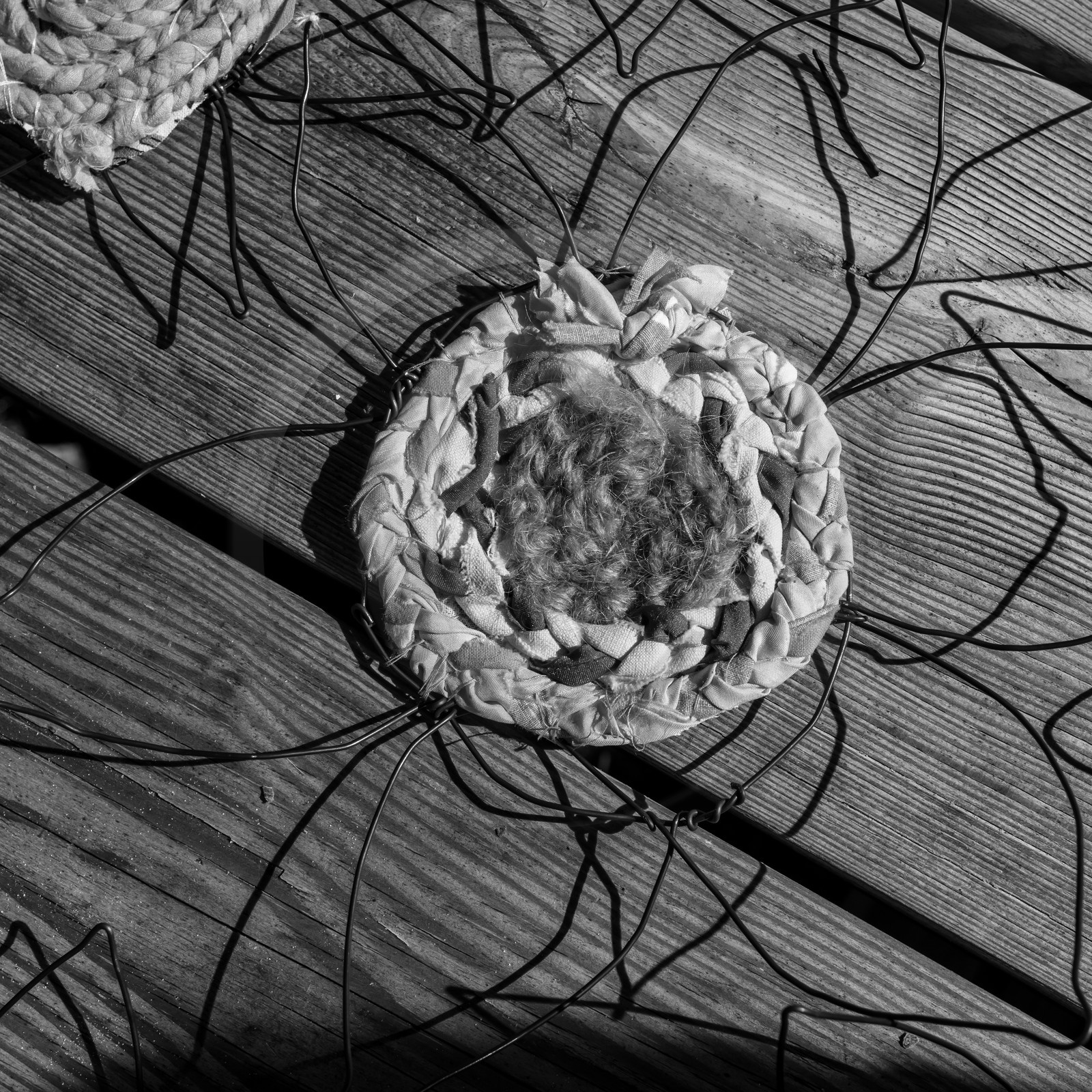 Activités au jardin