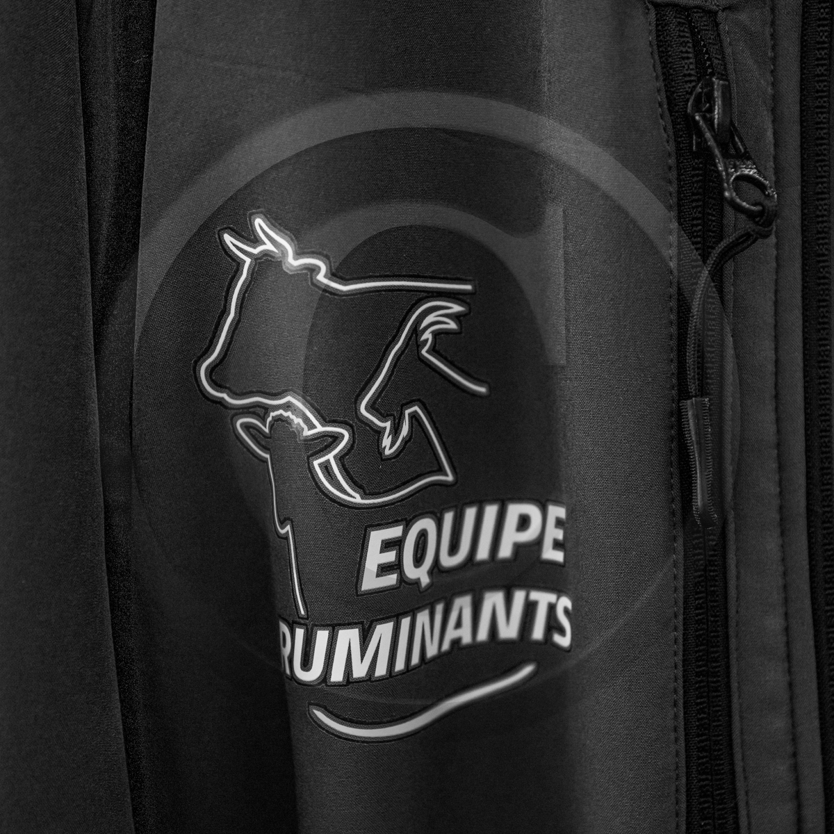 Rencontres paysannes à Saint-Bonnet en Champsaur