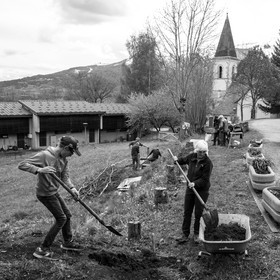 03 mai 2017 - Bac, semis et plantations