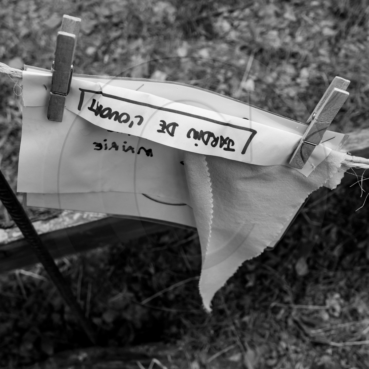 LOuort à l'Echo des Mots