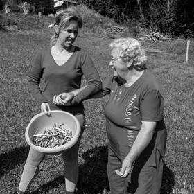 13 septembre 2017 - Chemins - Graines