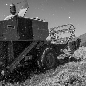 Les moissons dans le Champsaur