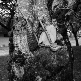 14 septembre 2022 : jeux, laine et promenade