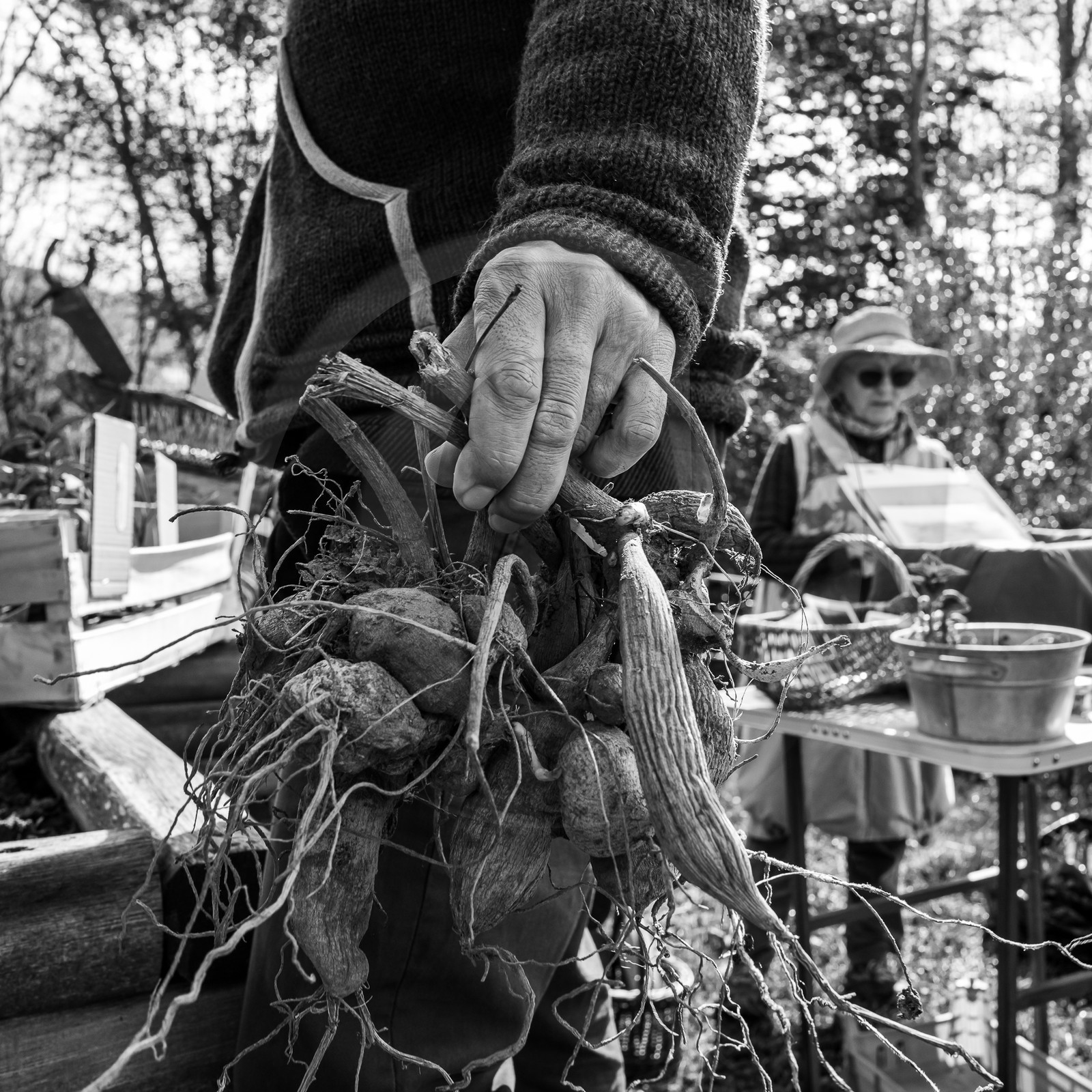 14 mai 2023 : Vide-Jardin