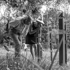 Une après-midi au jardin