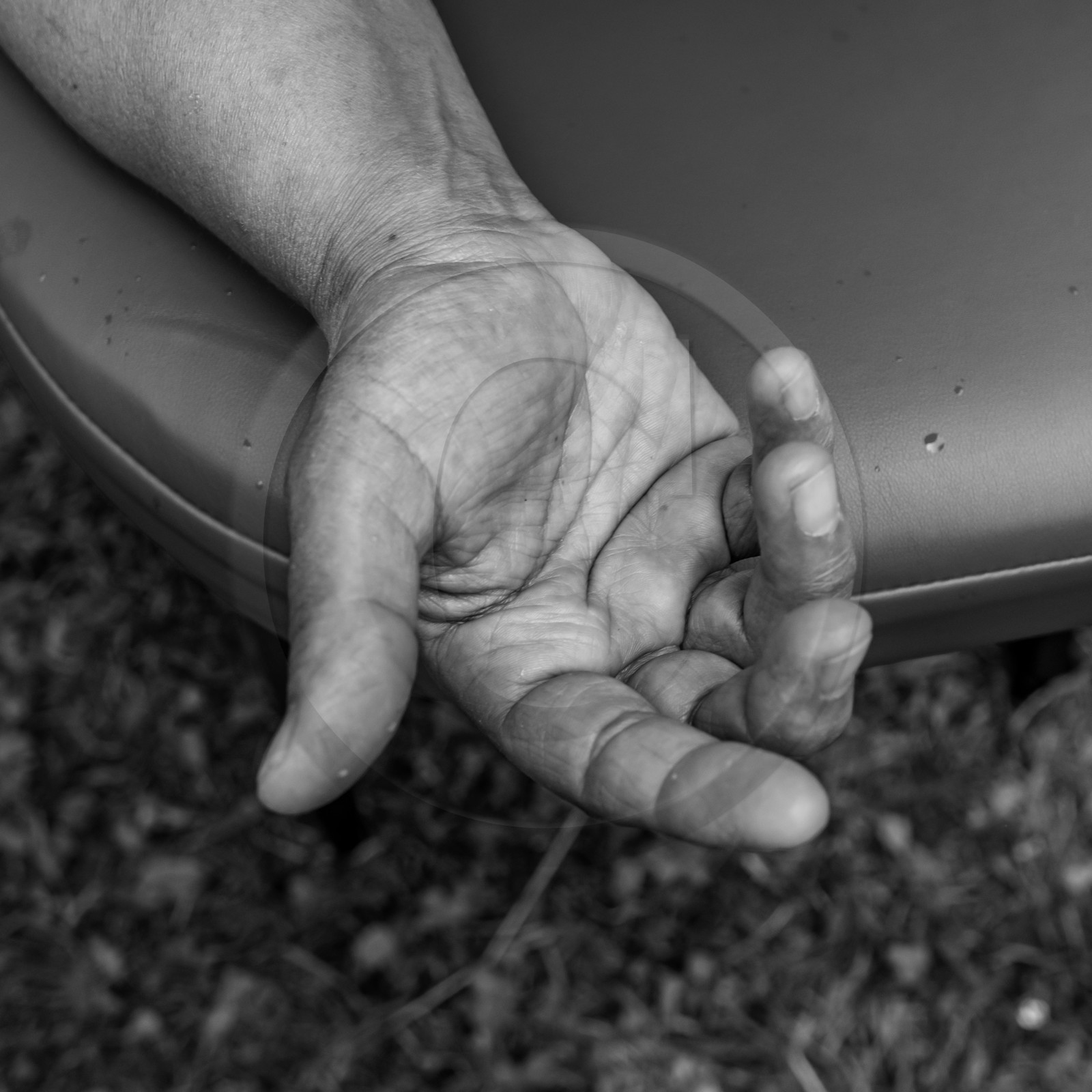 04 juillet 2021 : Journée Art & Nature