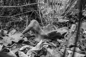 16 octobre 2023 : journée des aidants et des aidés