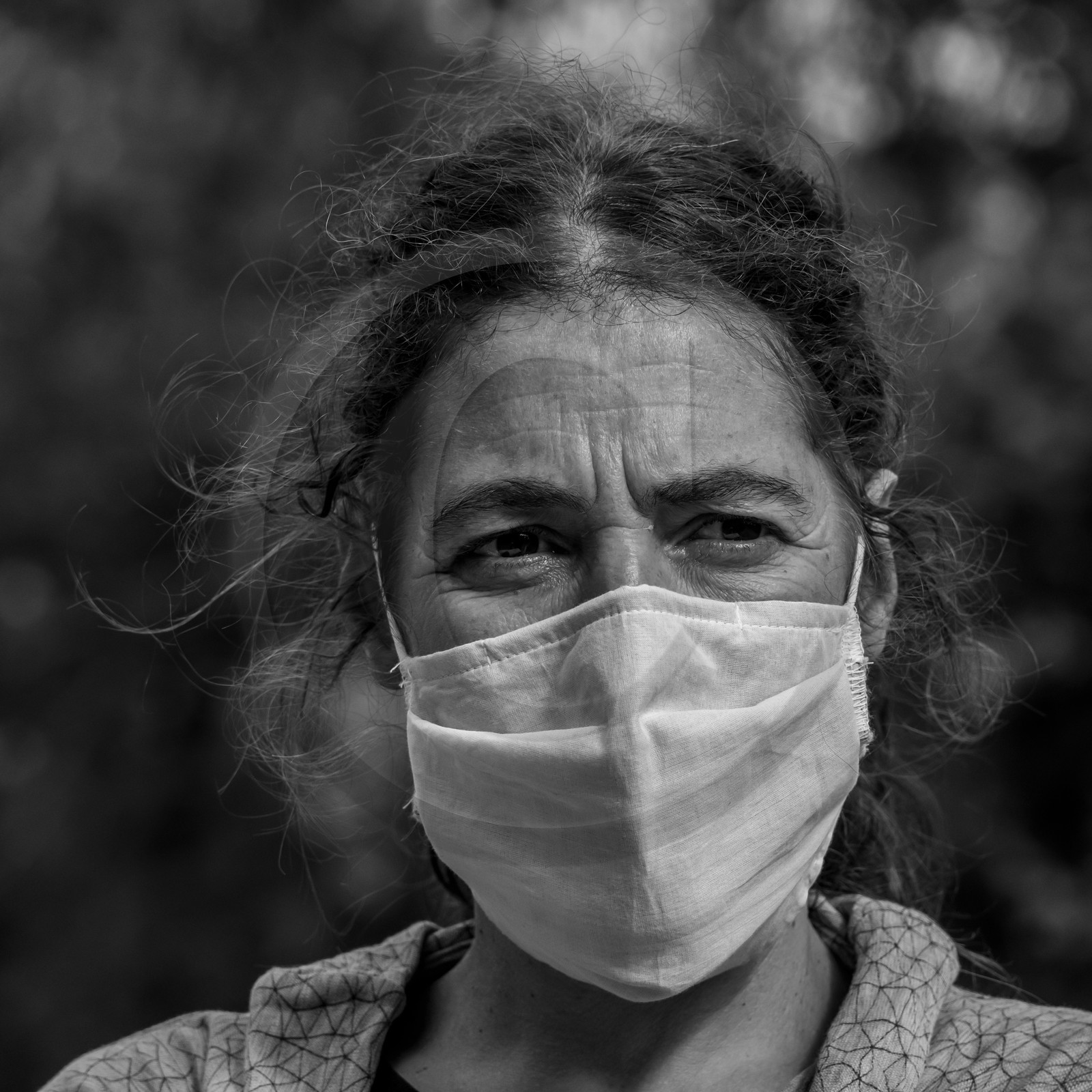 Semis, tournesols et jeux