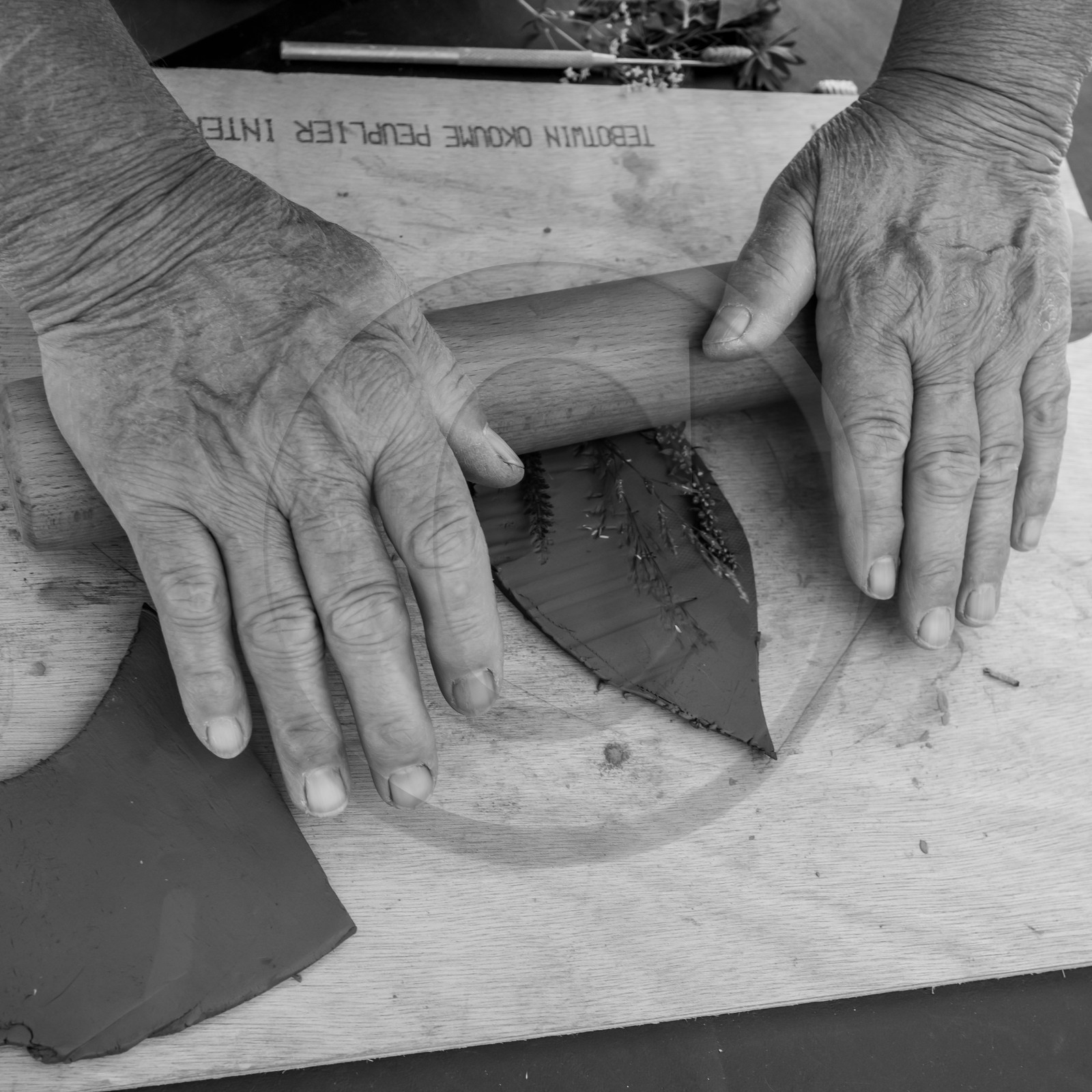 28 juin 2021 : Journée des aidants à l'Ouort.