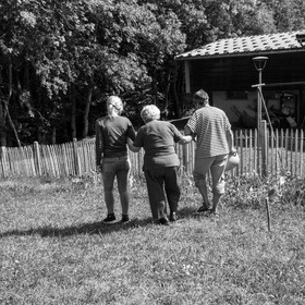 13 septembre 2017 - Chemins - Graines