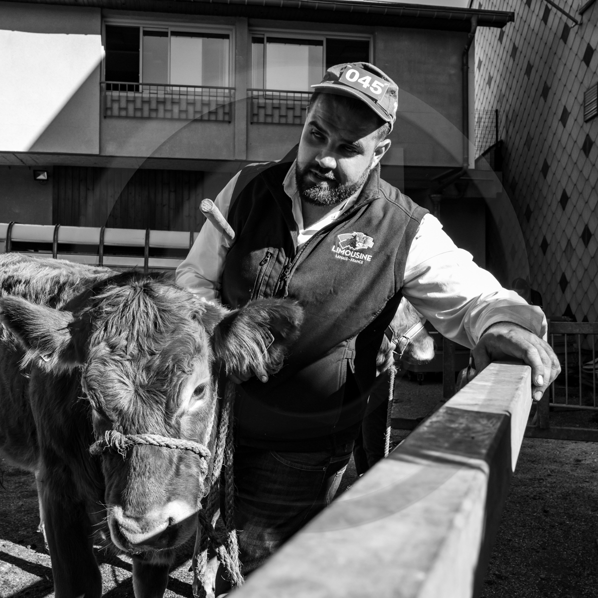 Rencontres paysannes à Saint-Bonnet en Champsaur