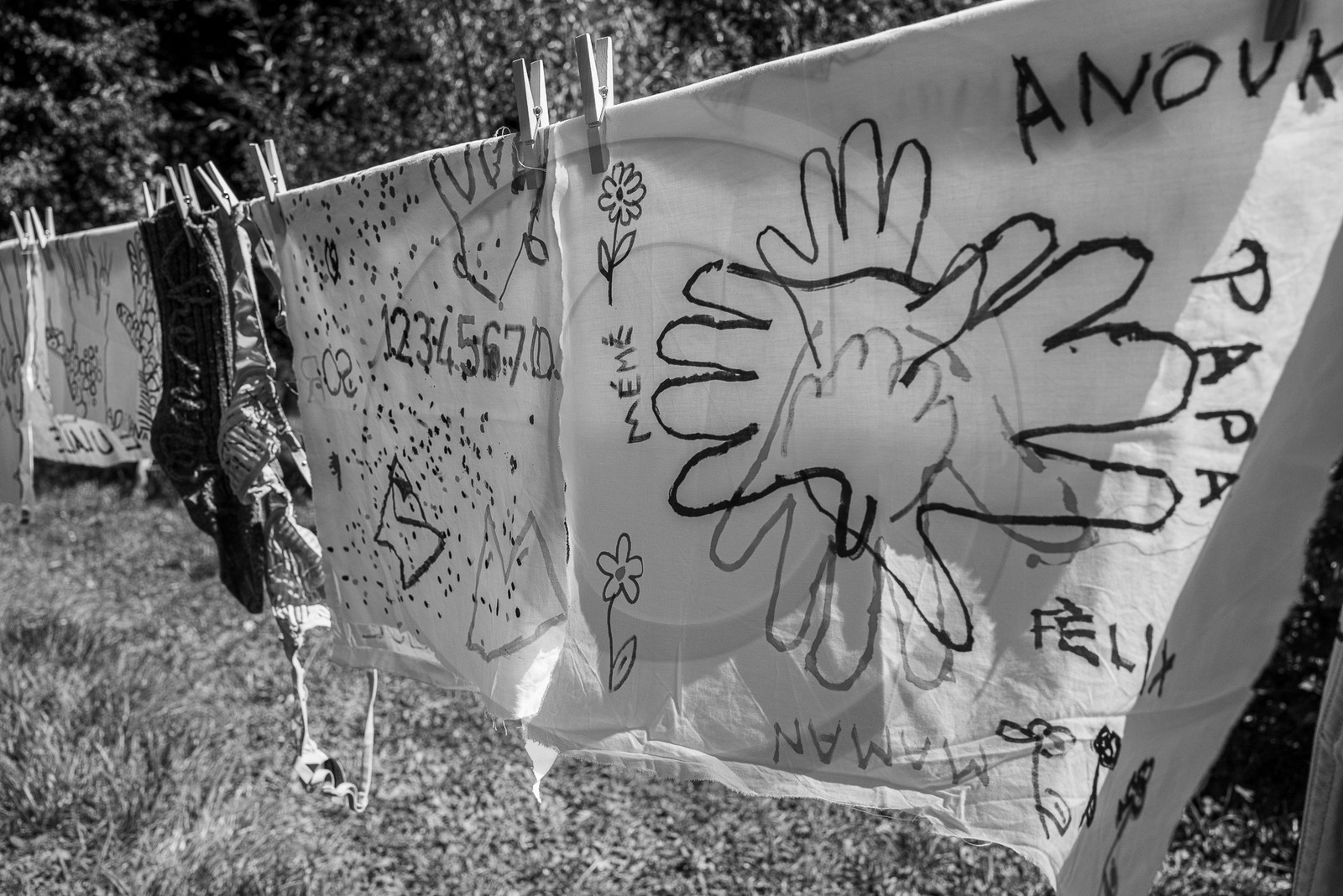 06 septembre 2023 : laine, couture et semis