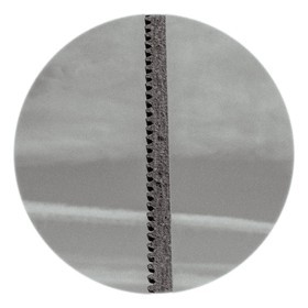 Les instants Camargue