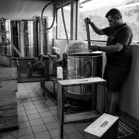 L'extraction du miel