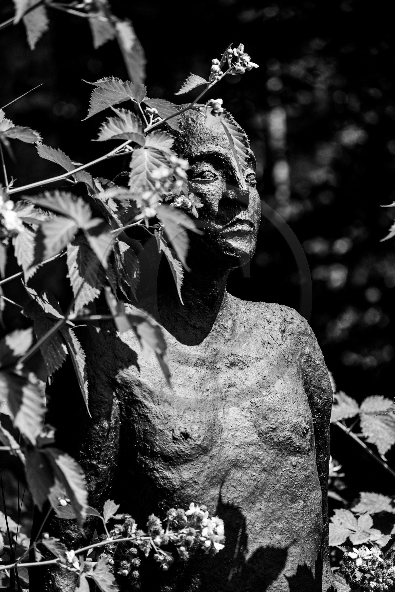 Exposition La forêt d'hommes, une création de Barbara Fougnon, artiste plasticienne