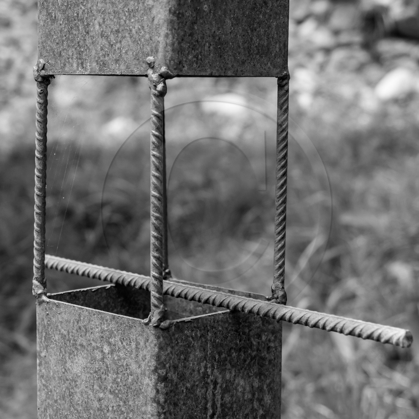 Une après-midi au jardin