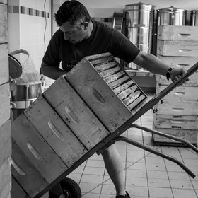 L'extraction du miel