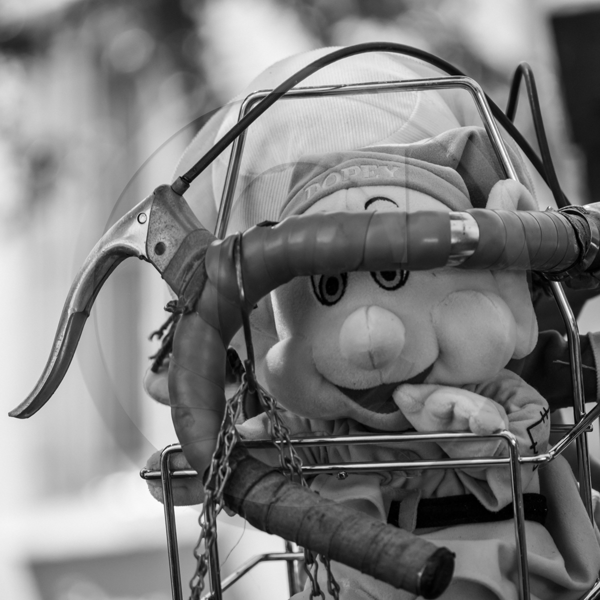 10 juin 2022 : 3ème journée des aidants