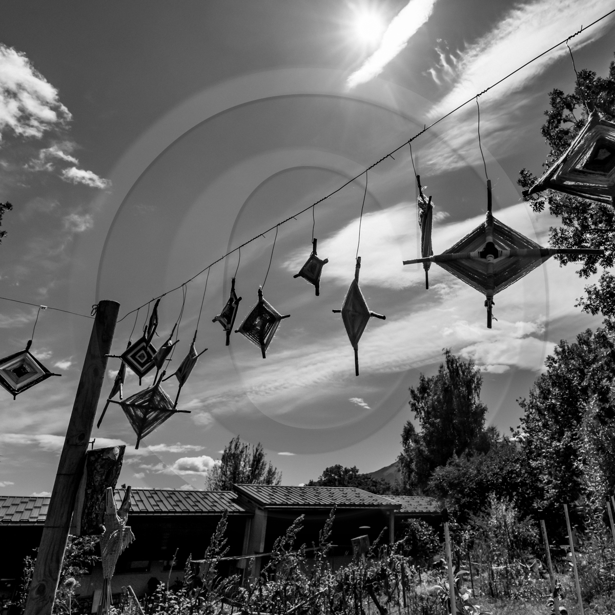 19 août 2022 : Journée des aidants et des aidés