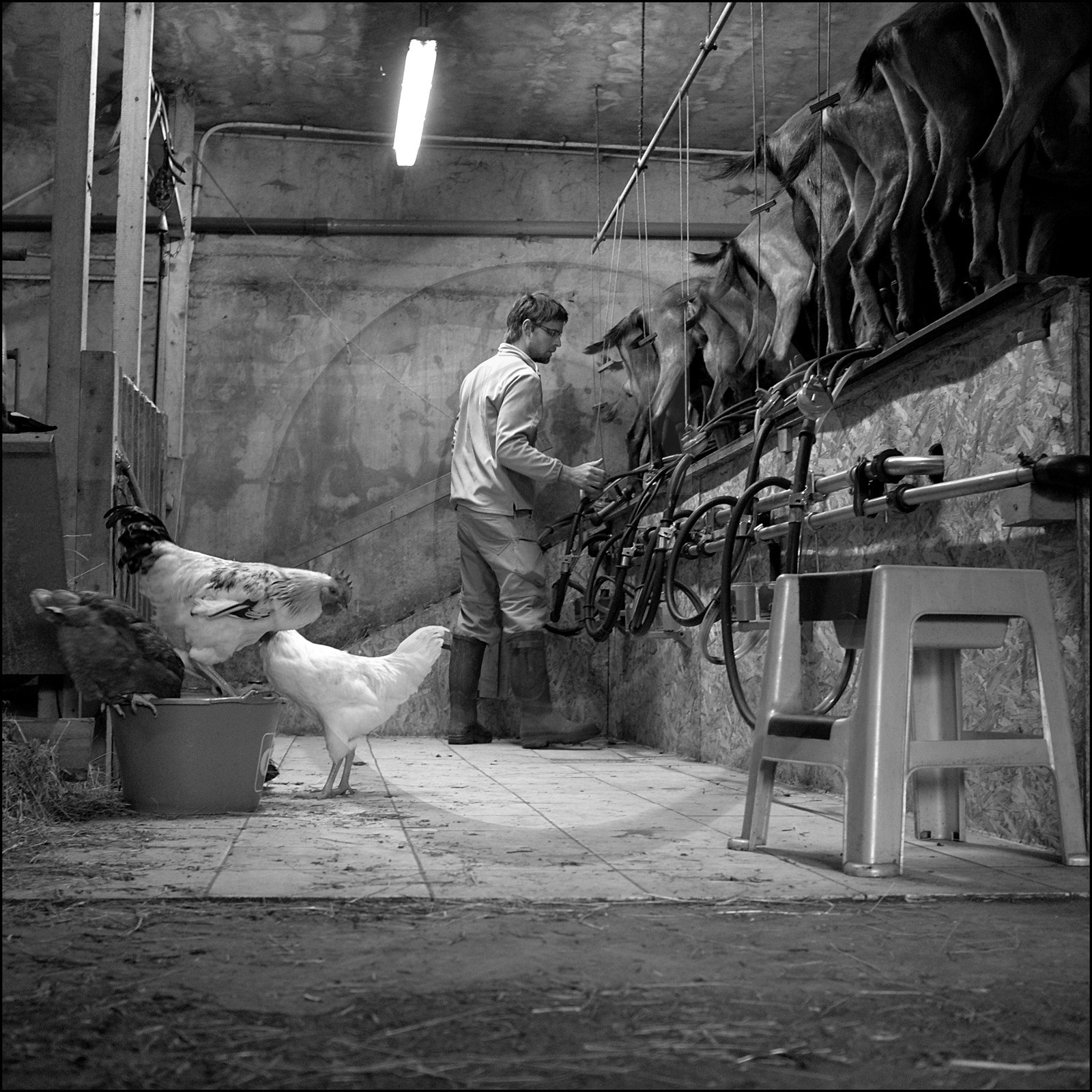 La ferme des Cabrioles