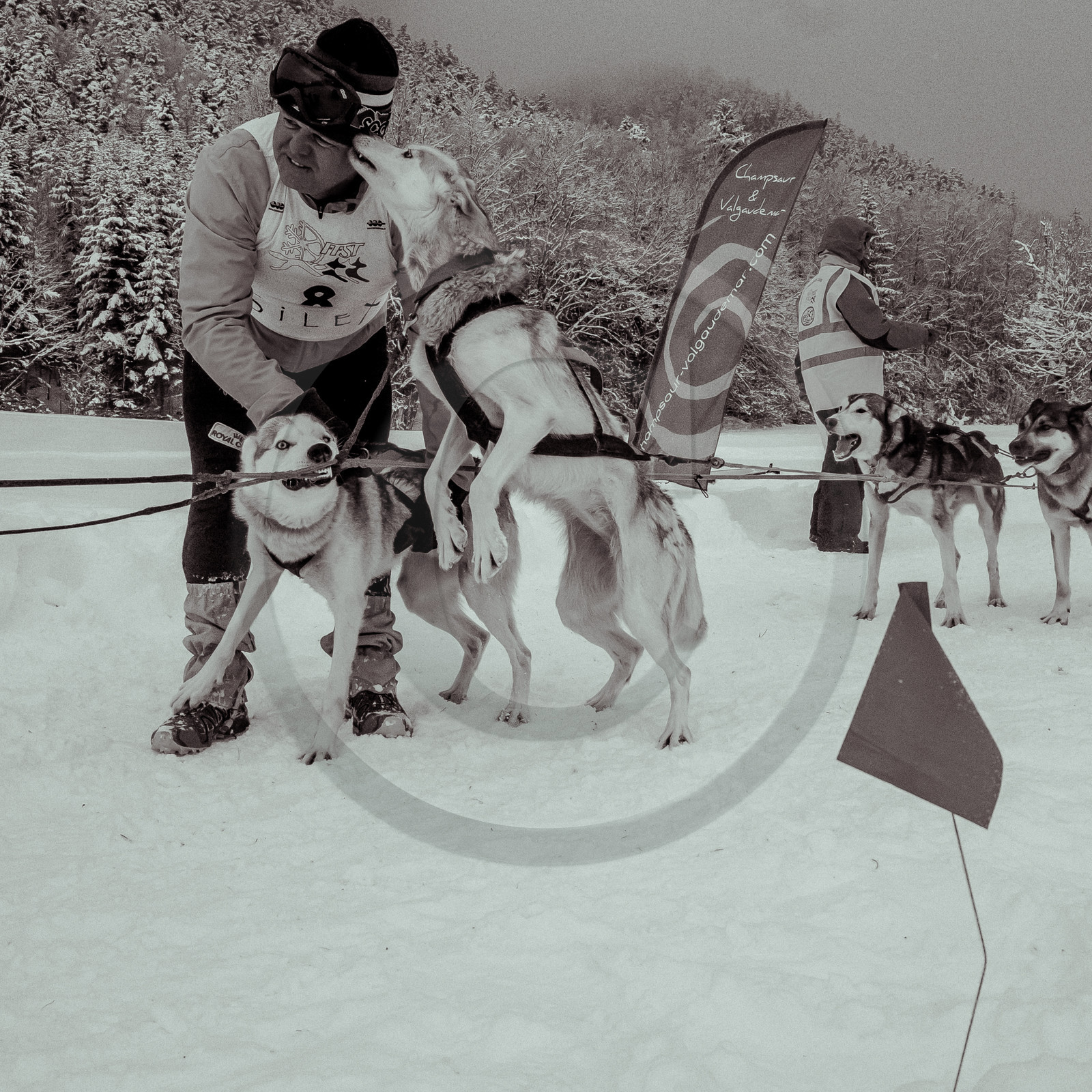 La Valgaude Traineau 2015