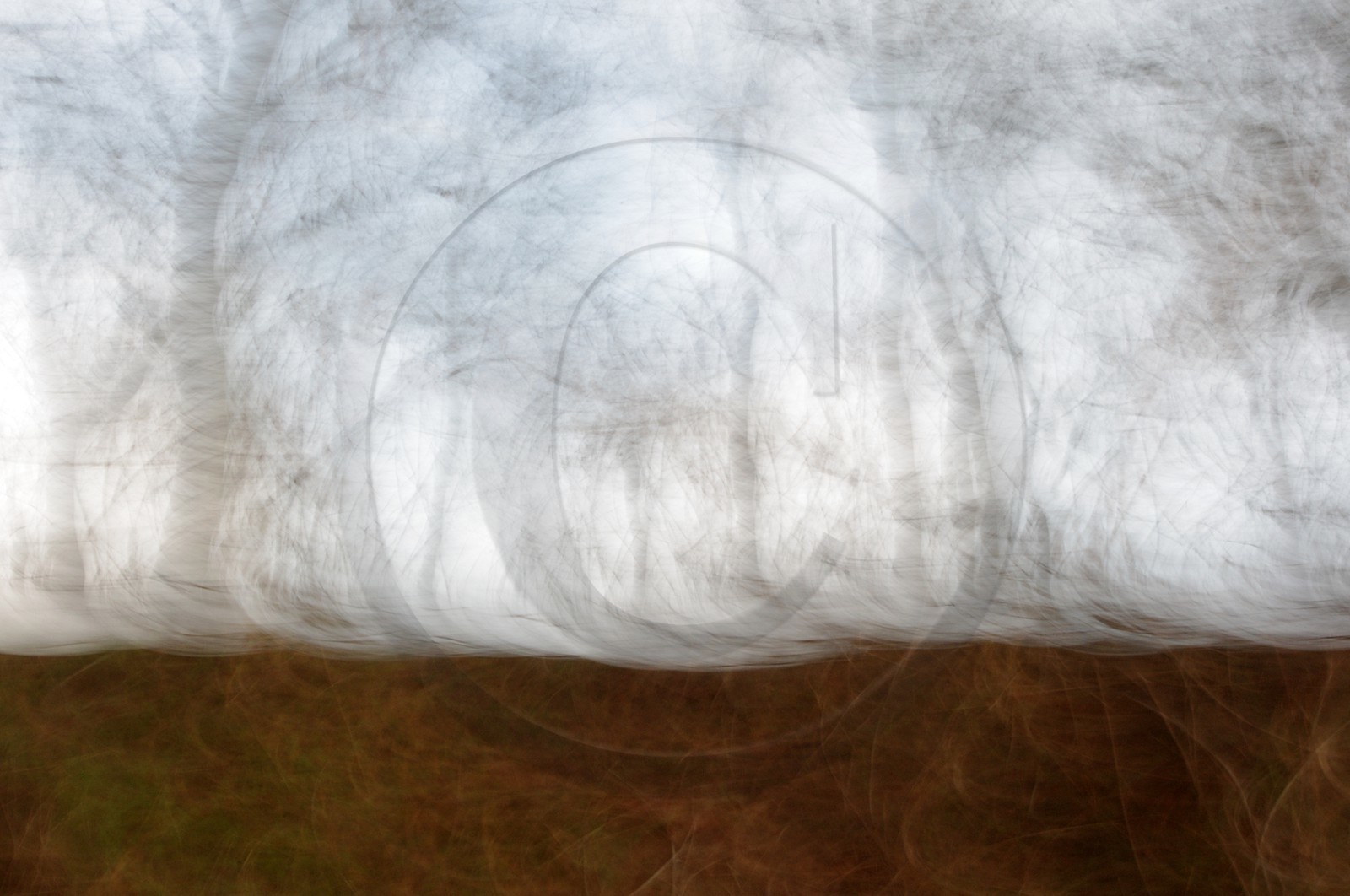 Le Pays des Arbres Flous