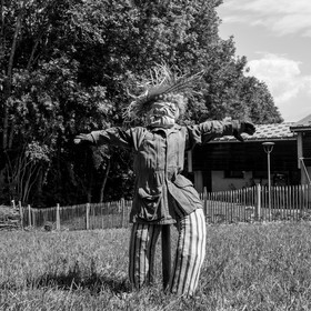 21 juin 2017 - Installation des épouvantails