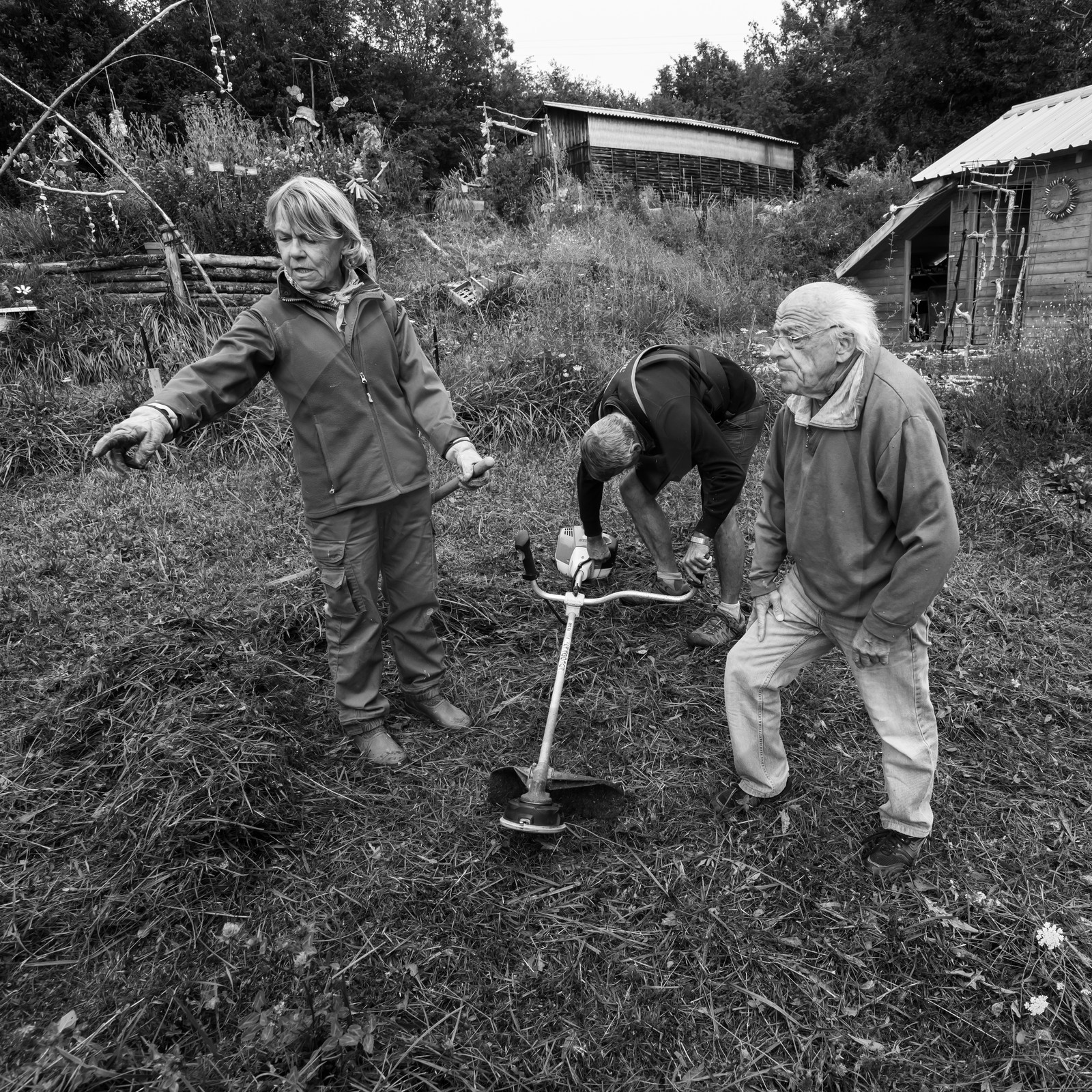 21 août 2019 : installation d'une oeuvre en bois flotté