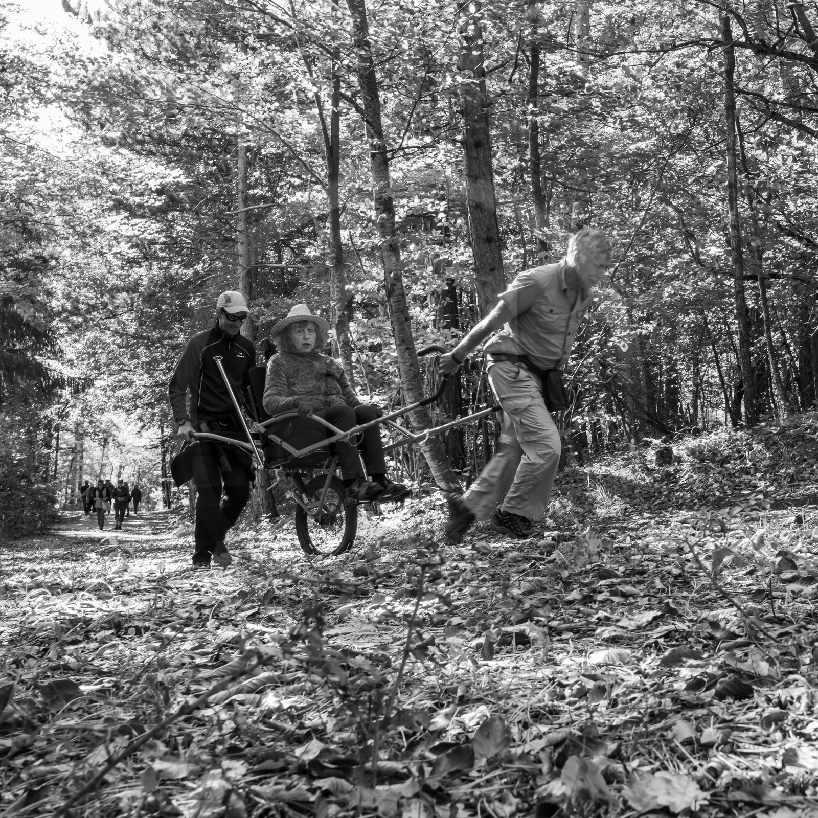 02 octobre 2019 : promenade en joelette