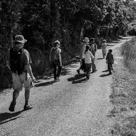 06 juin 2021 : Vide-Jardin et peinture végétale