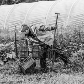 Maraichage biologique dans le Champsaur