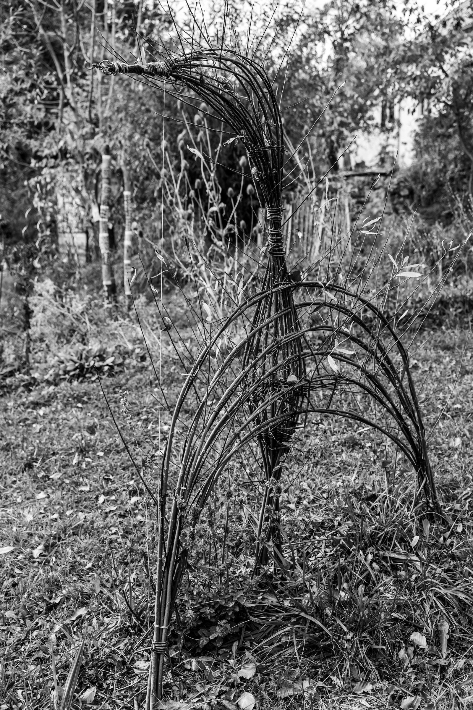 22 octobre 2025 : Aprés-midi détente