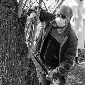 24 février 2021 : on taille, on prépare le jardin...