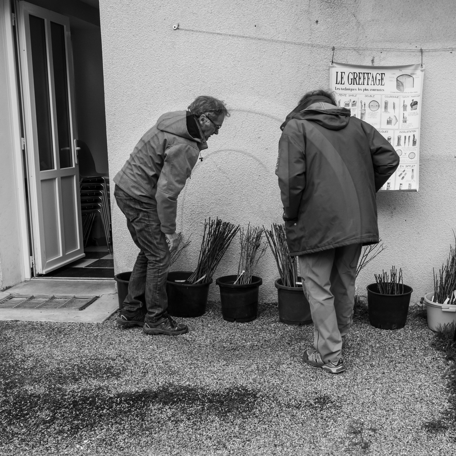 03 avril 2019 : Initiation à la greffe d'arbres fruitiers