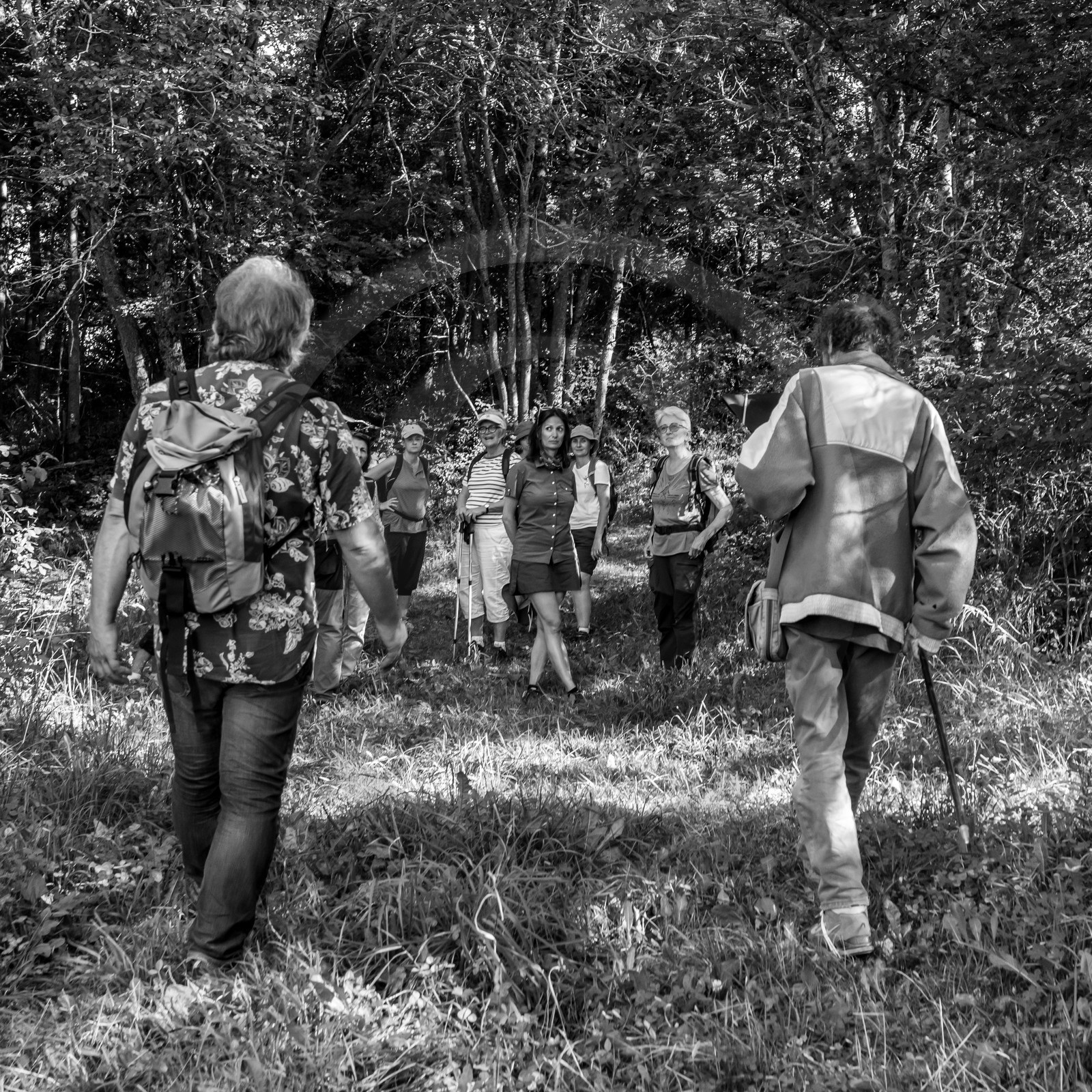 Arpenter le paysage avec Martin de la Soudière