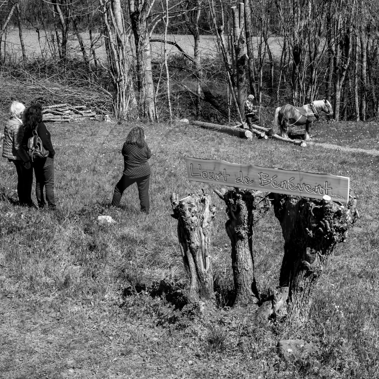 L'Ouort de Bénévent - 17 avril 2017