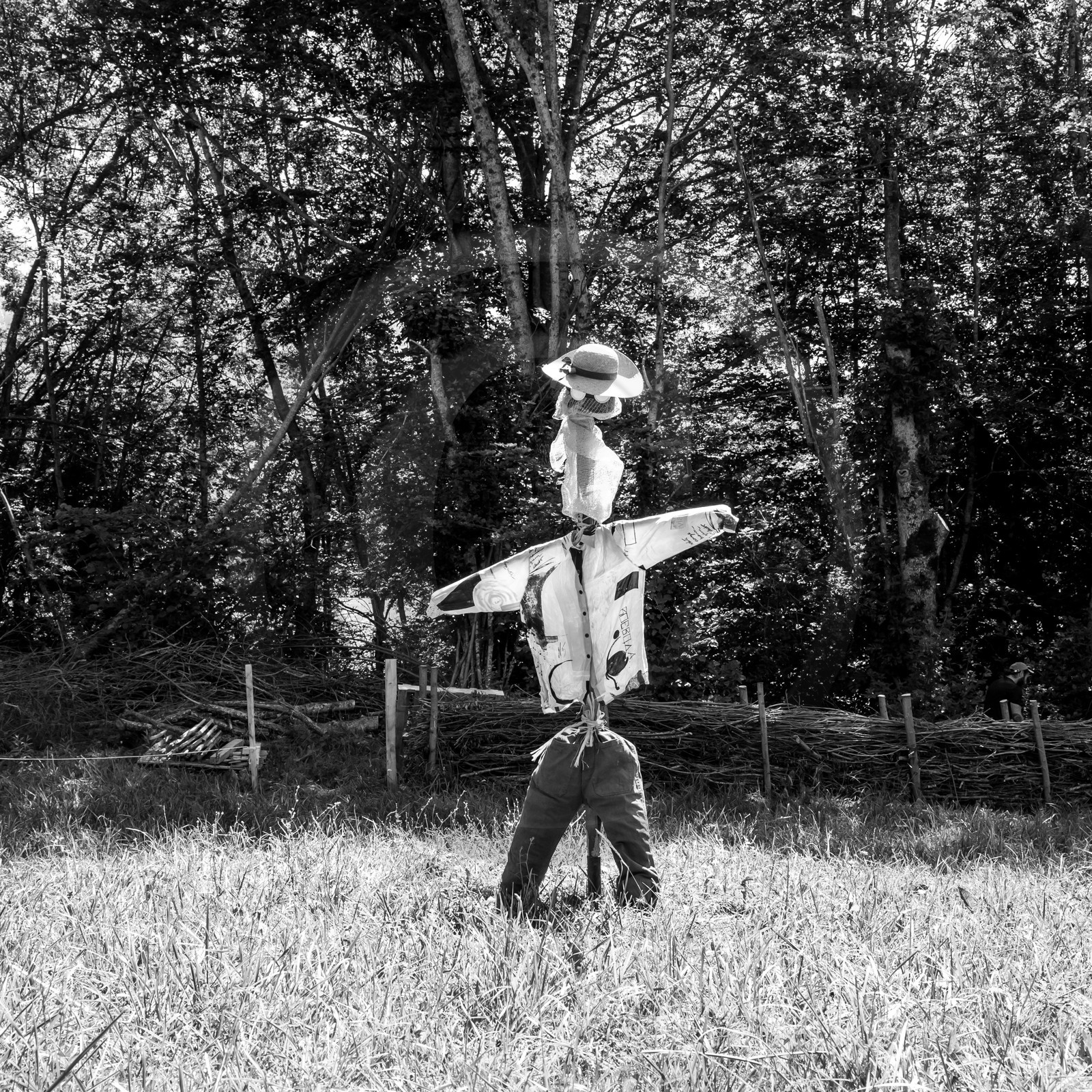 05 juillet 2017 - Installation épouvantails