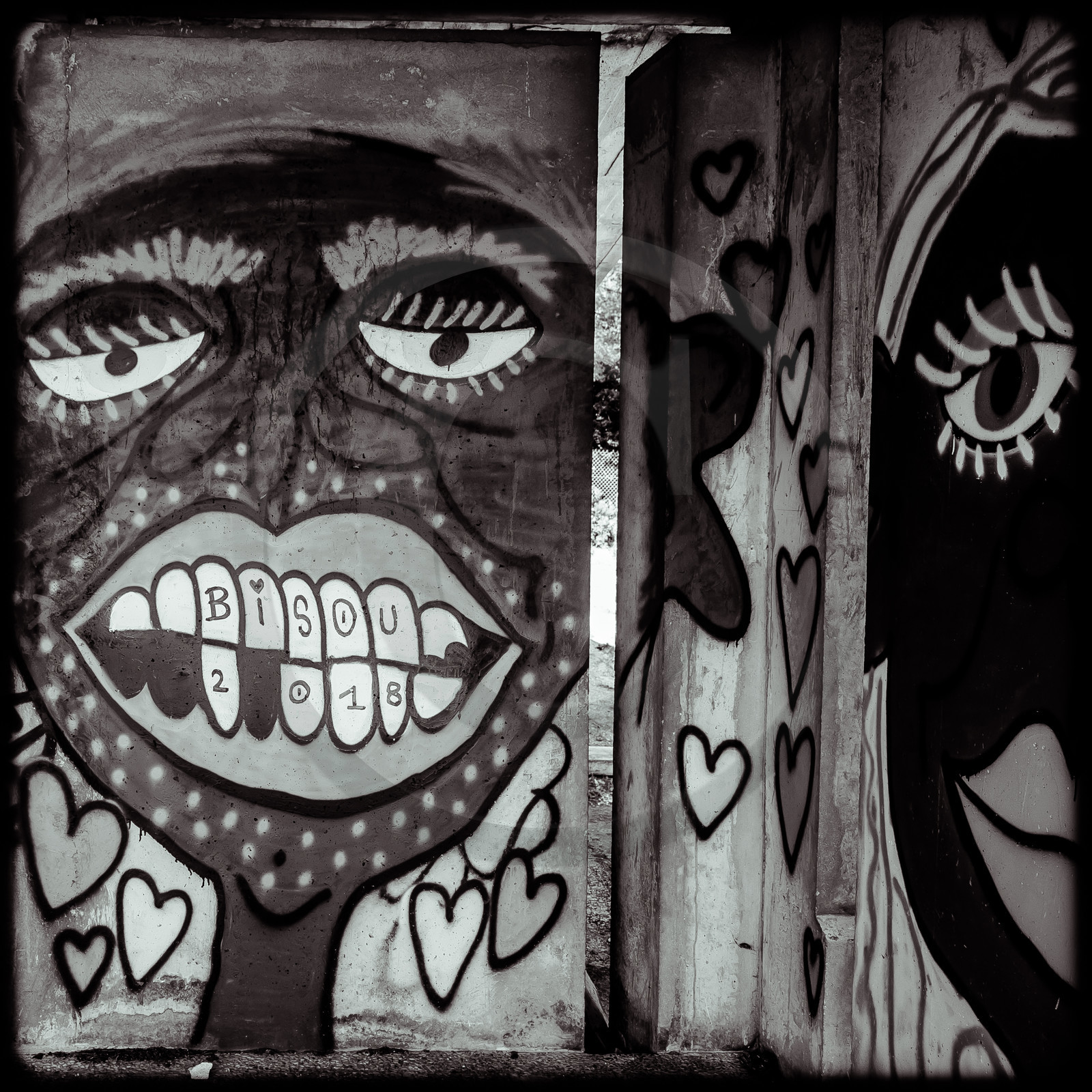 La piscine de Luminy (13)