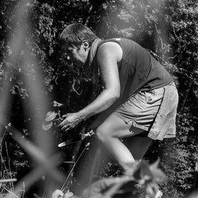 07 juin 2017 - Plantation - Haie - Réunion