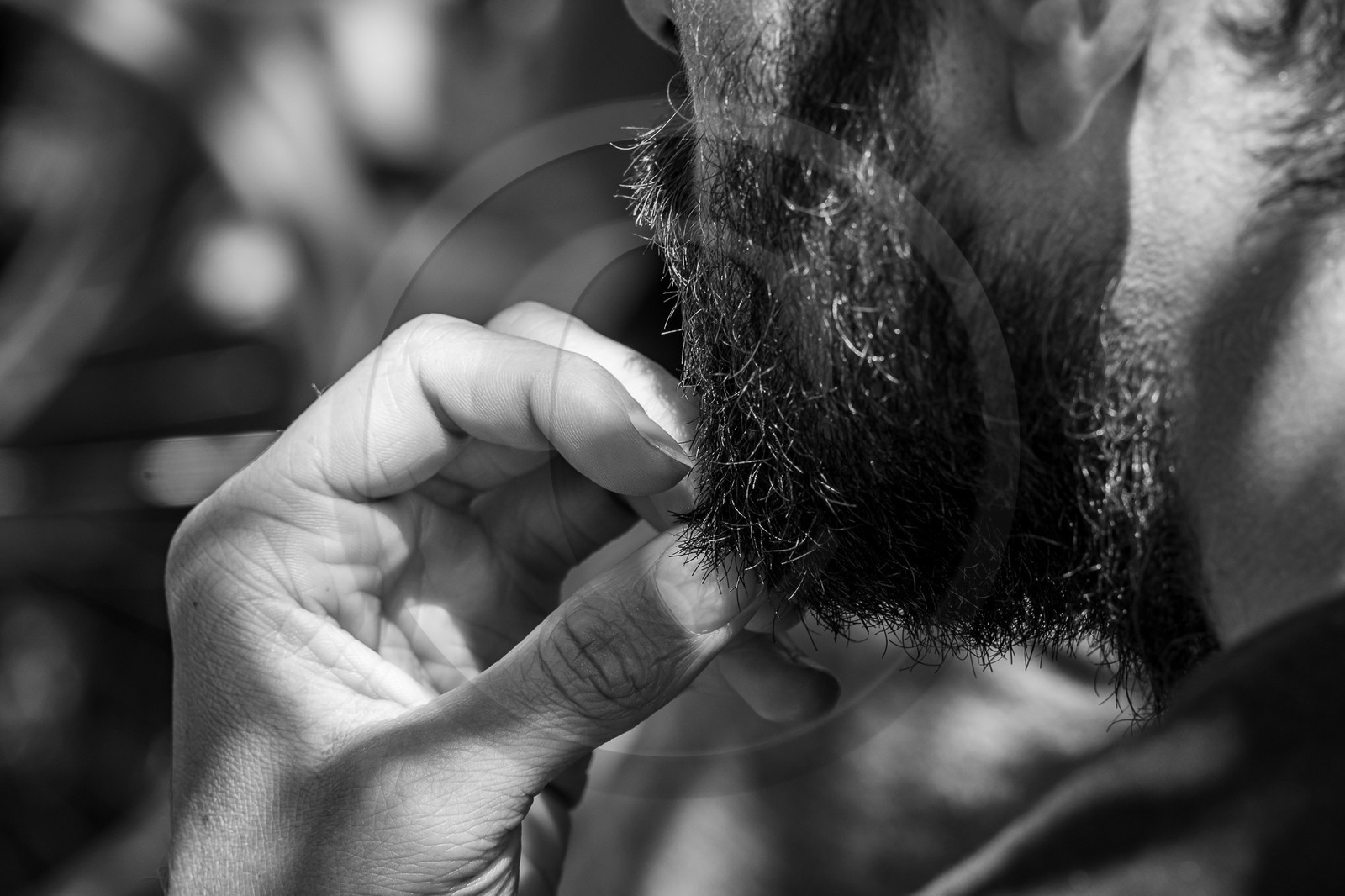 14 juin 2023 : Philippe Séranne et David Aubaile