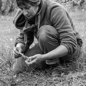 03 mai 2017 - Bac, semis et plantations