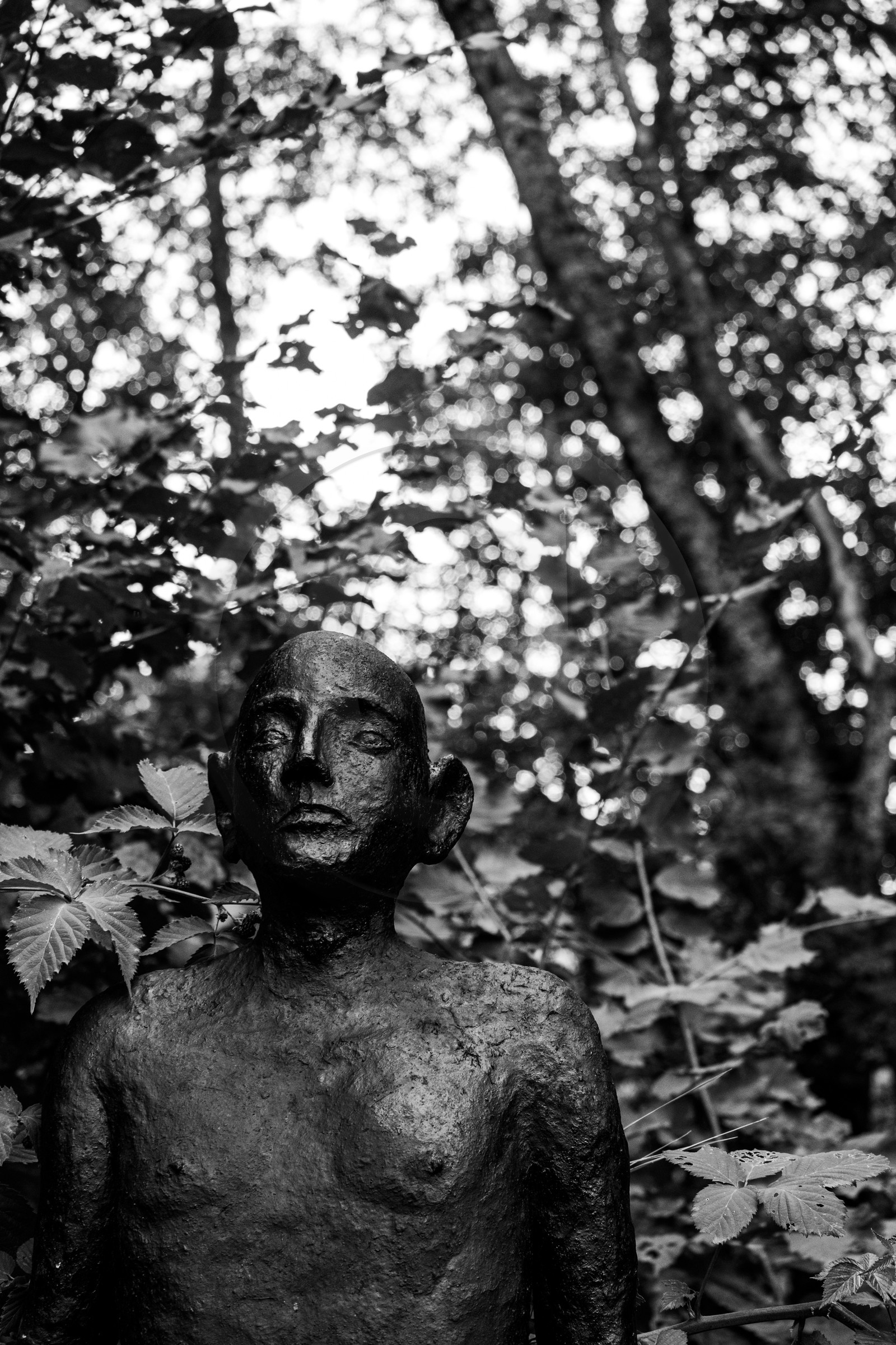 Exposition La forêt d'hommes, une création de Barbara Fougnon, artiste plasticienne