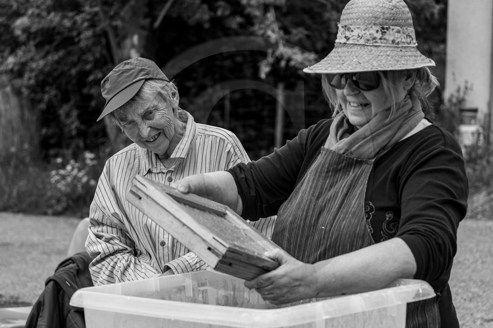 24 mai 2024 : Journée des aidants à l'Ouort