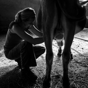 L'asinerie Le sentier des ânes