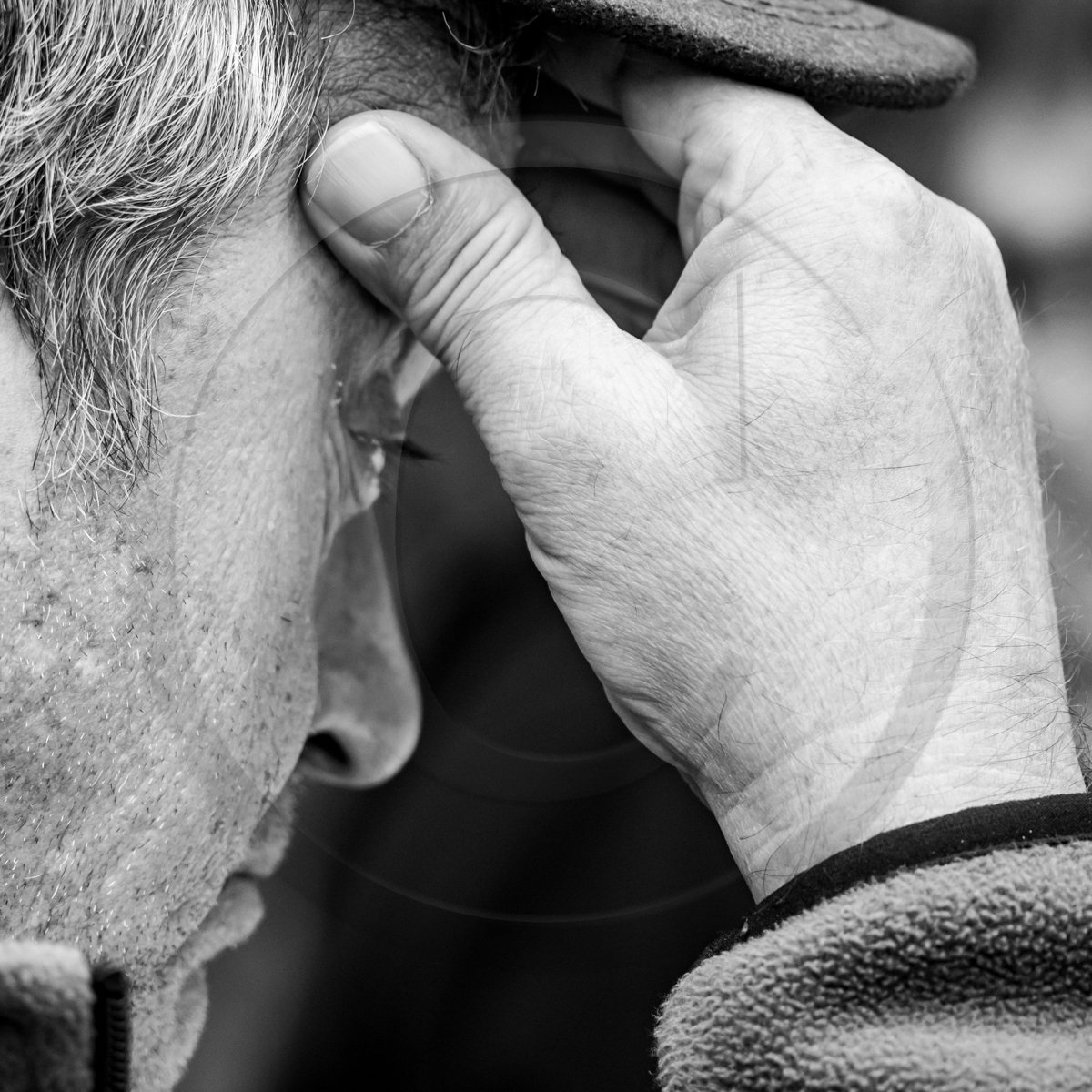 14 septembre 2022 : jeux, laine et promenade