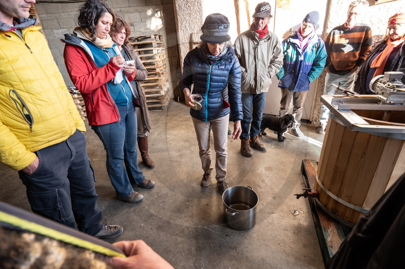 Croqueurs de pommes des Alpes Latines