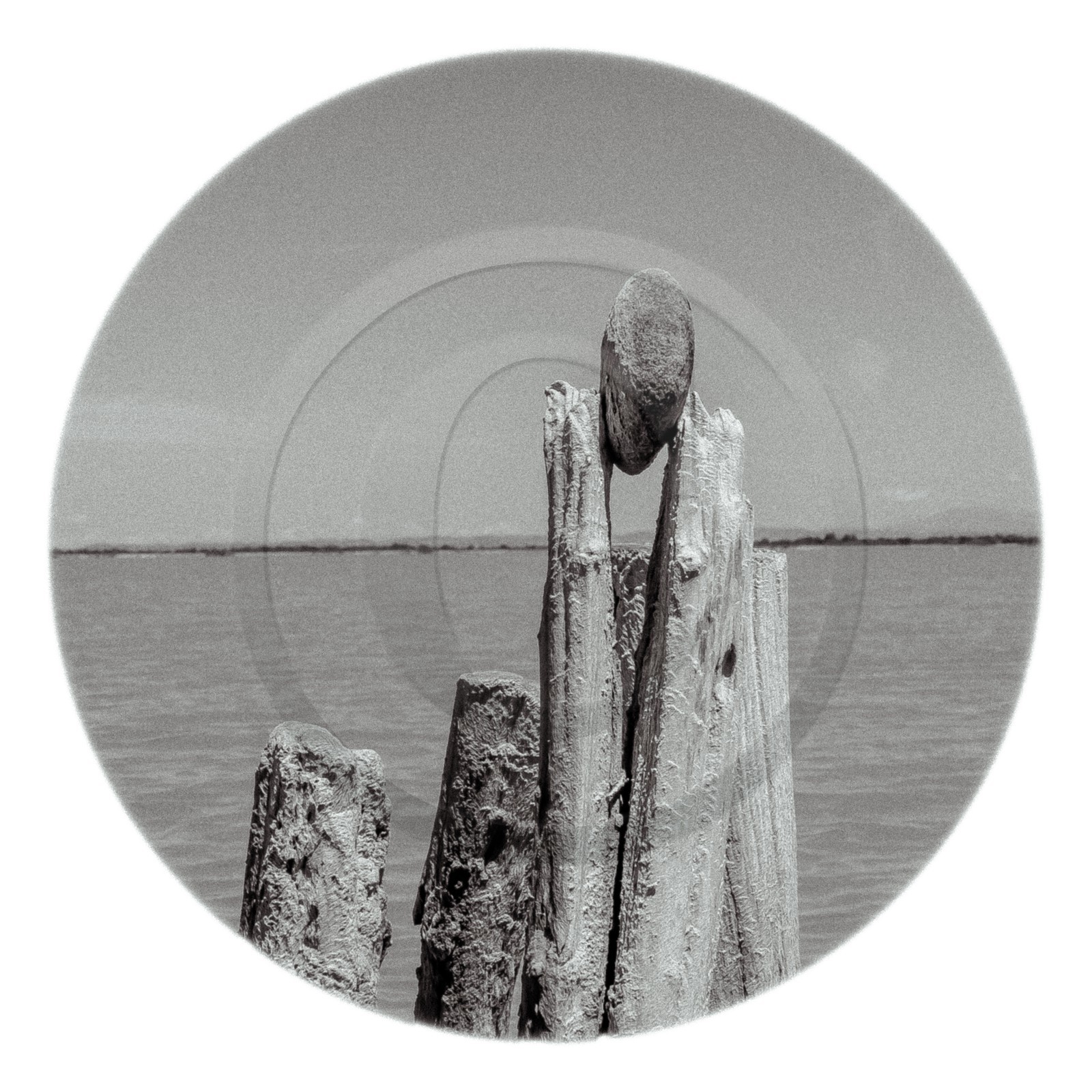 Les instants Camargue