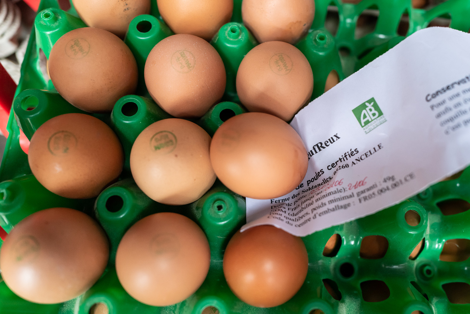 31 mai 2025 : AMAP du Champsaur - Distribution